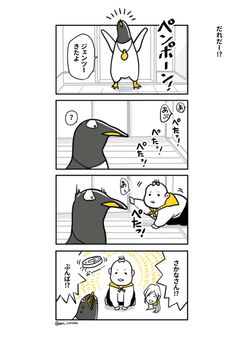 #ジェンツーきたよ その65、66
ジェンツーペンギン意外と大きい(70-95cm)🐧👶 