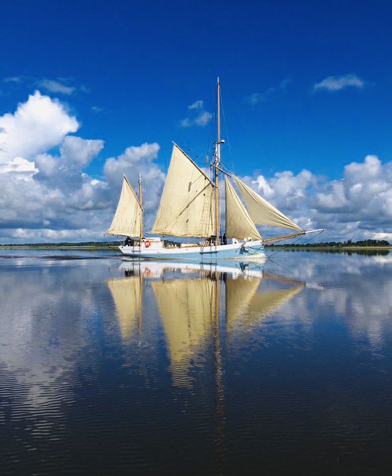 Deirdre Power tweet media