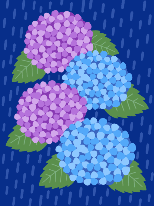 「hydrangea」 illustration images(Popular)