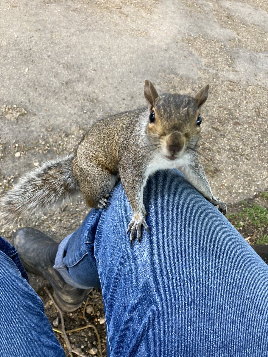 Have moved on from gaiters to squirrel knee pads