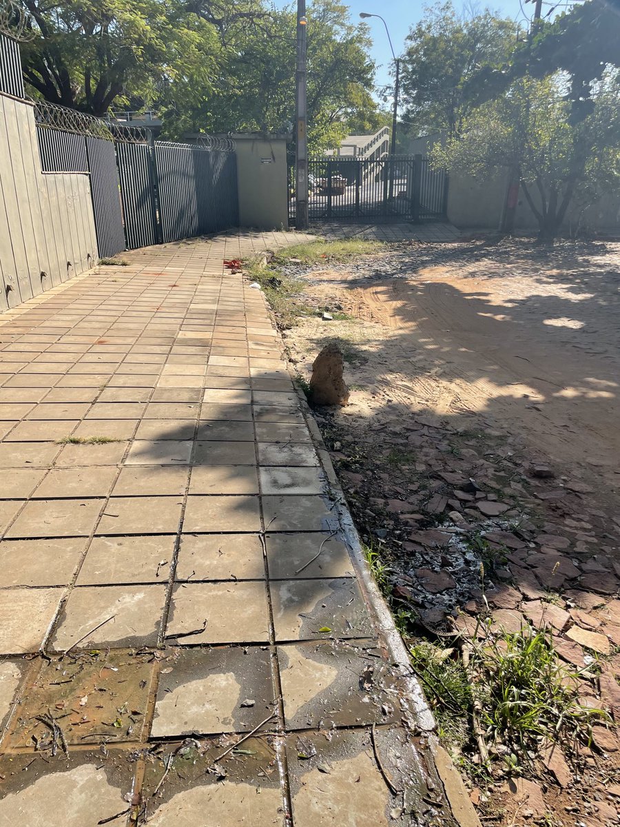 tavoayala's tweet photo. ⁦@BCP_PY ⁩ 

En este estado se encuentra la calle y vereda detrás del Banco Central del Paraguay en pleno Barrio Carmelitas, oscuro por la noche, sucio, abandonado, insalubre. 👎🏼 ⁦@5diasPY⁩ ⁦@elindepepy⁩ https://t.co/PEYb29mwfU