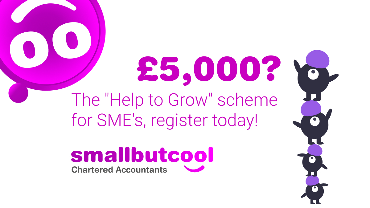 Smallbutcool eCommerce Accountants tweet media