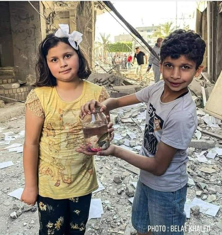 SherenHamedJOR's tweet image. "We Palestinians wake up every morning to teach the rest of the world life, sir." 
#GazaUnderAttack
#FreePalestine
#savesheikhjarrah