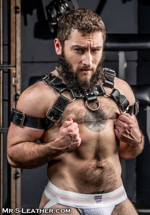 Get your Bulldog Harness @MrSLeather* sold separately.