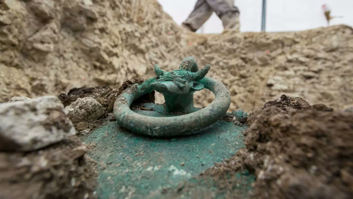 Samo Burja tweet media