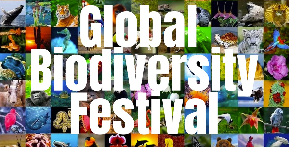 Global Biodiversity Festival title page, text on a background of animal photographs