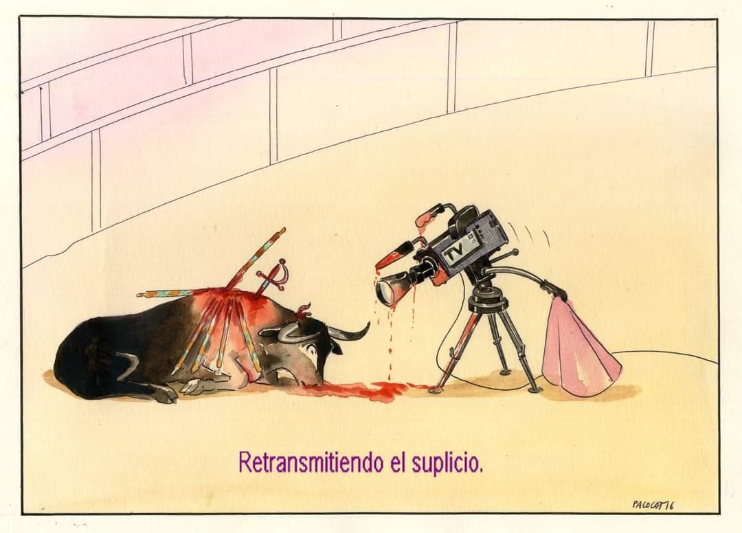 Contra la retransmision del maltrato animal. Queremos a los toros vivos y una sociedad empatica. La TVE no puede contribuir a fomentar la cultura del maltrato. #NoALaTorturaEnRTVE @jmpereztornero @maria_escario @rtve @rtve_com