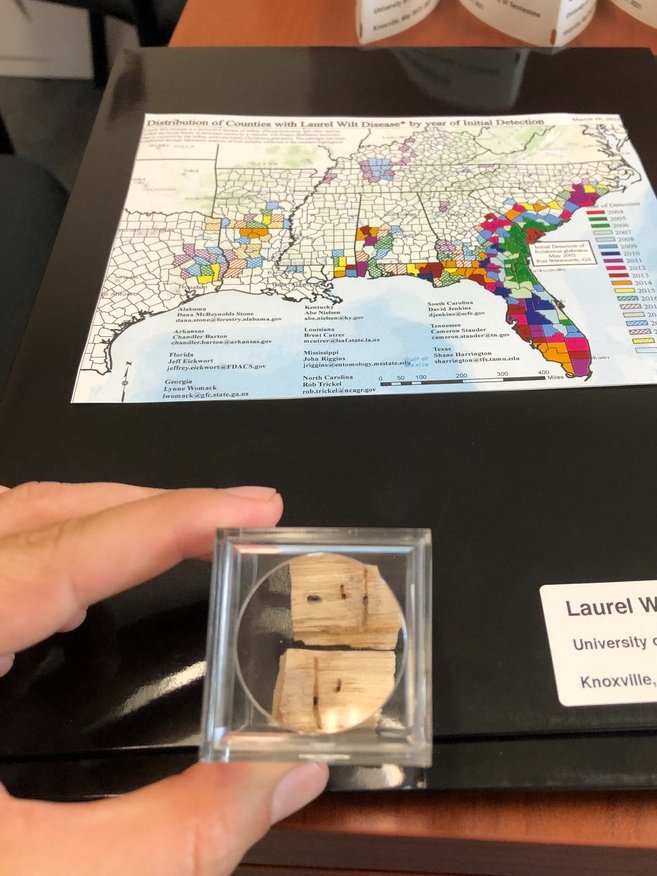 Tropical Plant Clinic & Research Lab tweet media