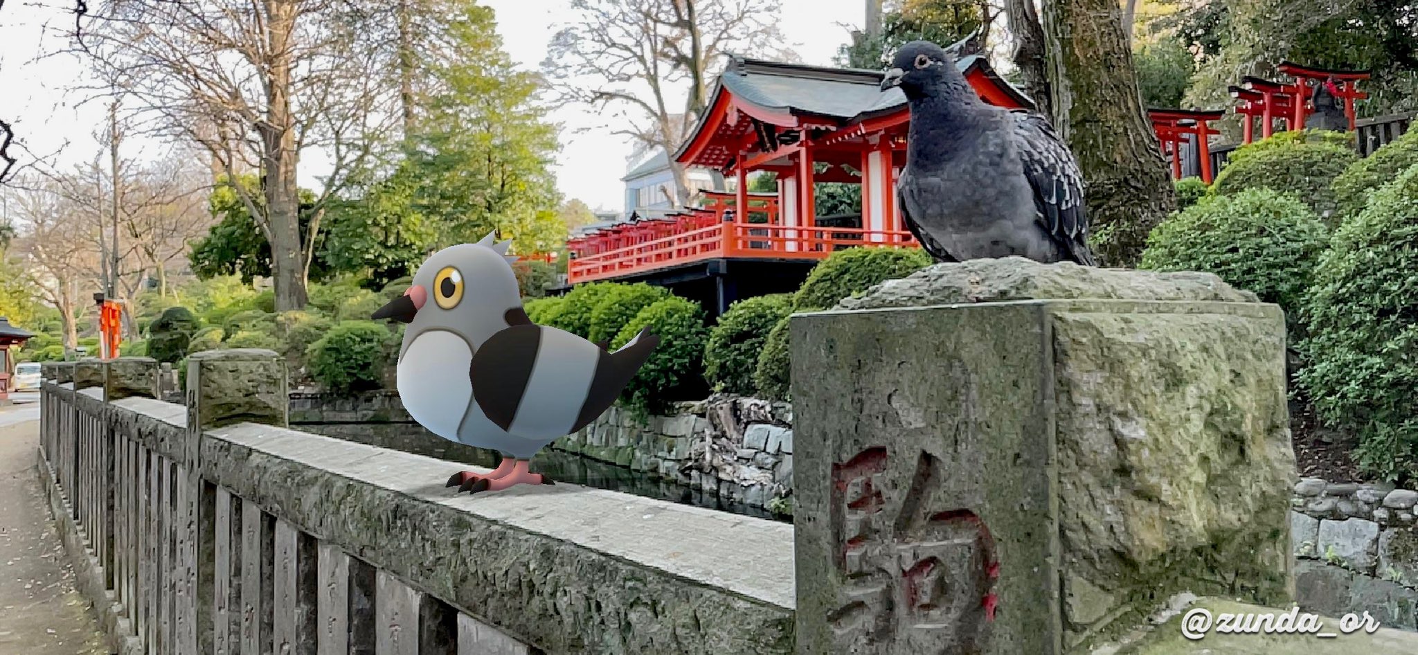 ずんだオレ クルッポー Arphotoaday Nianticlabs とりポケの飛ぶ世界 Wildarwednesday Aroftheday Gosnapshot ポケモンgo マメパト T Co Q07bbi1ija Twitter