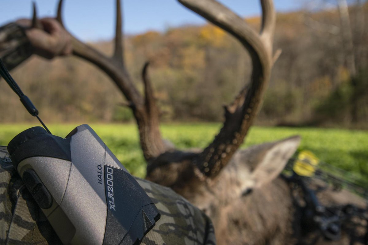 HALO Optics tweet media