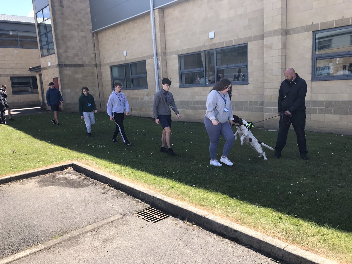 Cumbria Police Dog Section (@policedogunit) on Twitter photo PD’s Drake, Millie and Jnr in training today at Lakes College.
Getting ready for festival season and keeping people safe.
<a href="/PDSkyeandDrake/">PD Skye and PD Drake</a> <a href="/jctrigger76/">PDViper & PDBeck</a> <a href="/irvoam/">IrvoAM</a> <a href="/lakescollege/">Lakes College West Cumbria</a> PD’s Drake, Millie and Jnr in training today at Lakes College.
Getting ready for festival season and keeping people safe.
<a href="/PDSkyeandDrake/">PD Skye and PD Drake</a> <a href="/jctrigger76/">PDViper & PDBeck</a> <a href="/irvoam/">IrvoAM</a> <a href="/lakescollege/">Lakes College West Cumbria</a>