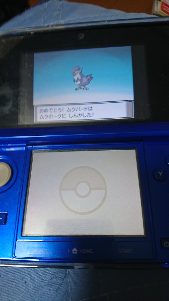 Secretsaka V Twitter 土曜日にポケモンプラチナ中古で古市で買ってやってる ヒコザル選んで ギャラドス ガブリアス ムクホーク ルクシオ 秘伝要因でビーダル連れてます 久しぶりにやったけど 剣盾と違ってレベル上げが大変 ダイパリメイクの予習です