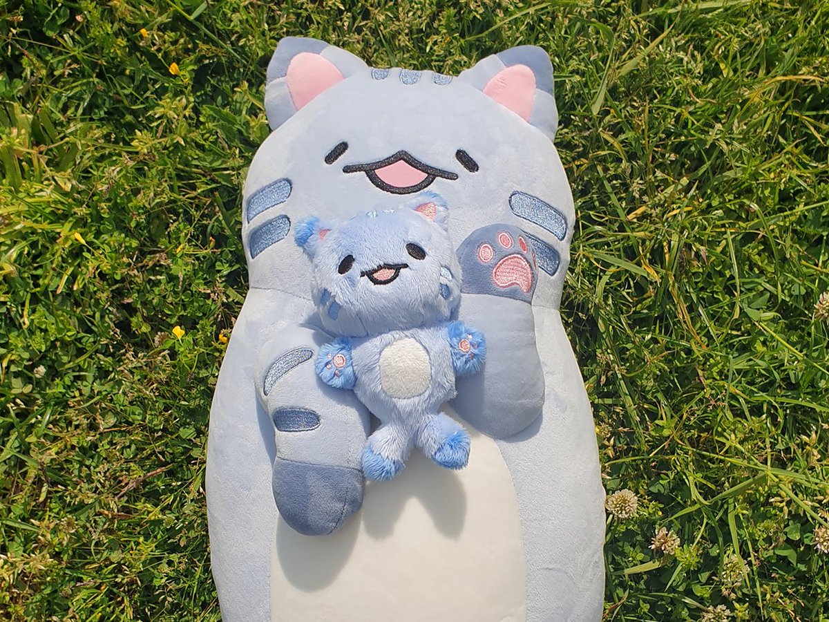 물고양이가 쪼꼬매져서 다시 찾아왔어요😆💕

오래전부터 약속드렸던 물고양이 후속 인형입니다!
이번에는 크고 말랑한 물고양이 뿐만아니라 쪼꼬만 물고양이와, 저번에는 아쉽게 못보여드렸던 삼색이 키링까지왔어요!

✨6월 01일 12시 공개예정✨

tumblbug.com/somuchwaternya2

#애옹쓰공방 #물고양이