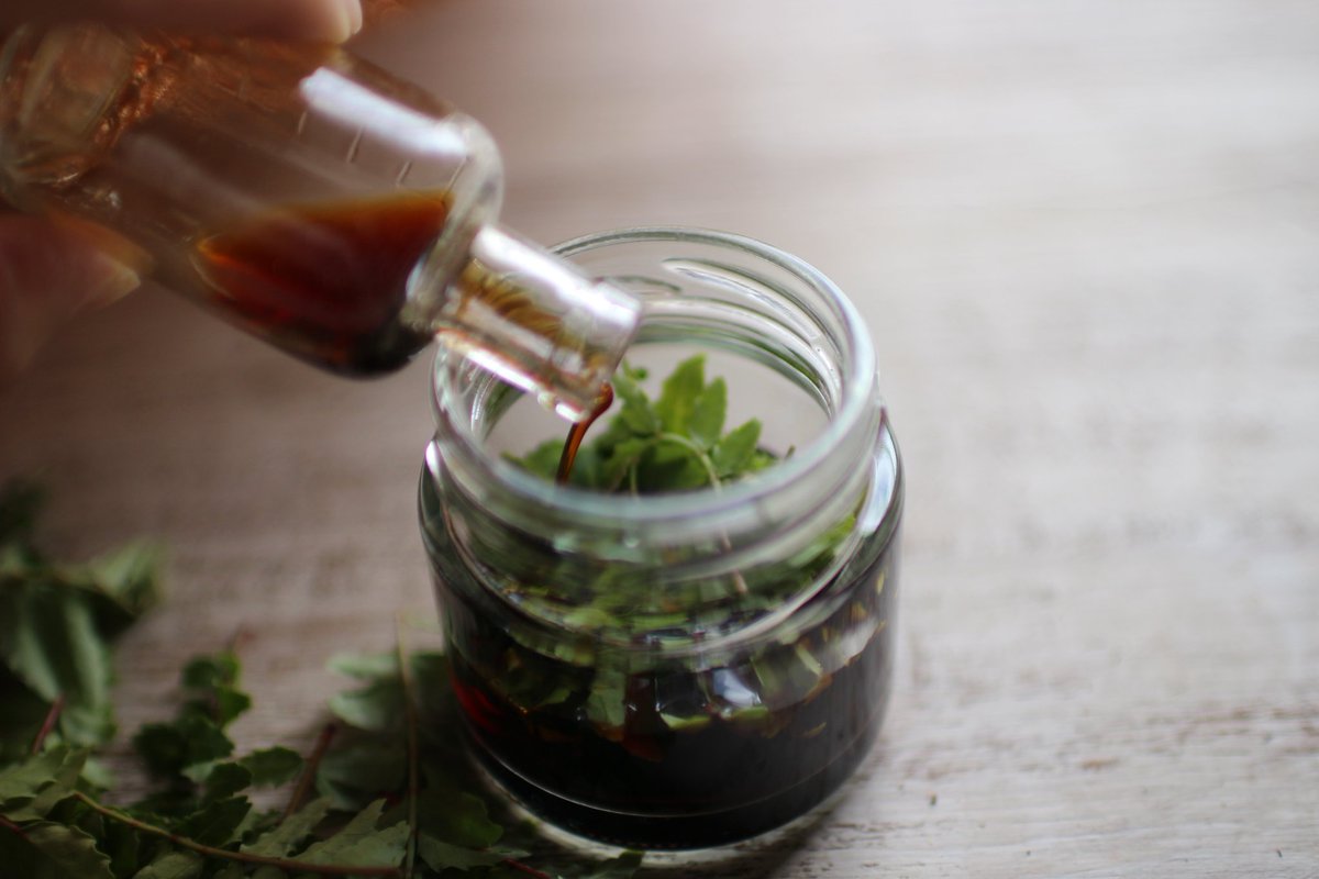 ひらつかスパイス農園 大好きな山椒の葉の香りを保存すべくホマレ姉さん Homarecipe がブログに書いてた山椒の醤油 漬け作りました 簡単 実じゃなくて葉っぱだけど香りはいい ホマレ姉さんのブログに写っていたようなオシャレな卓上醤油さし憧れる