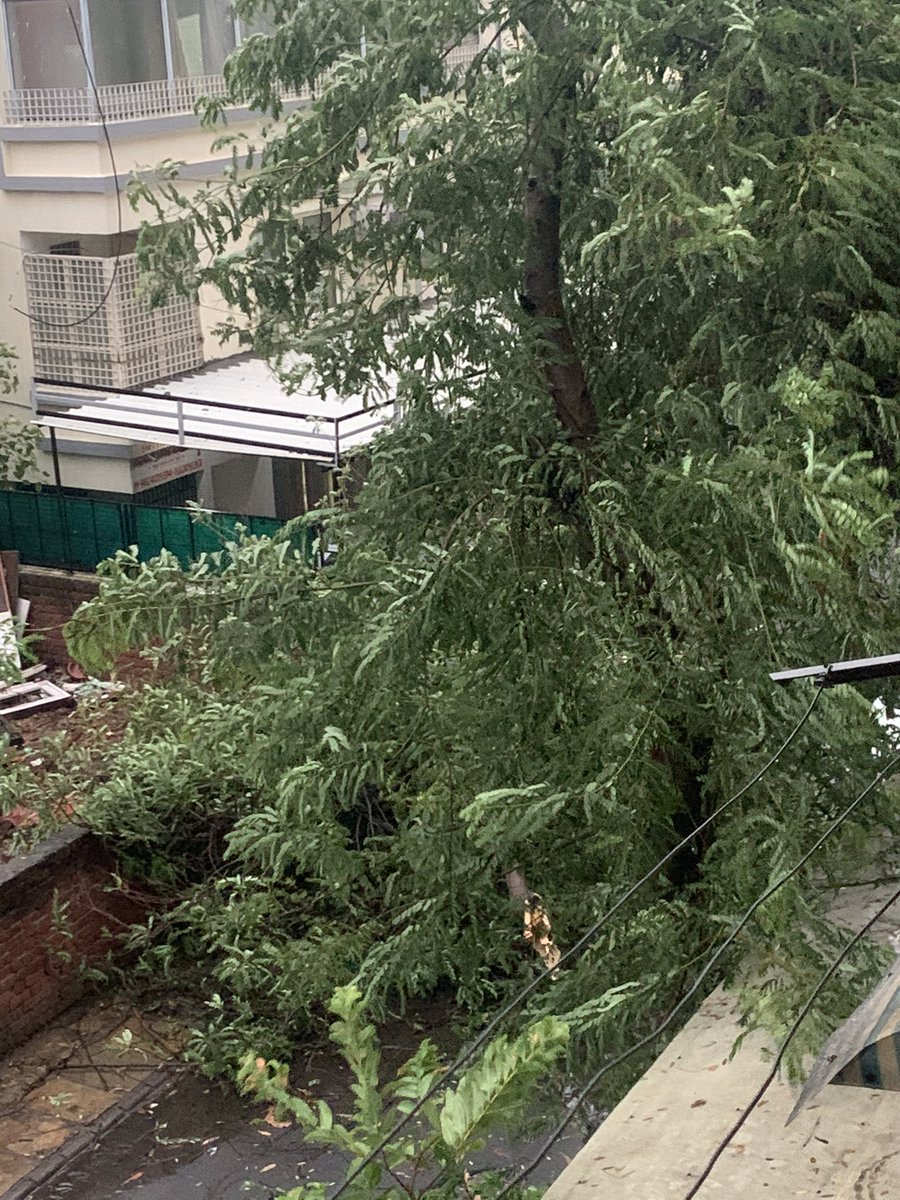 9a32f2877b46496's tweet photo. #CycloneTauktae UPDATE
18/5/21- @NDRFHQ
#RestoringNormalcy
#SERVICEwithCARE🙏🏻
🔸#NDRF
🔸Parimal hospital, maninagar Ahmedabad, Gujarat
🔸Road clearance NEAR HOSPITAL both side blocked
NEEDS HELP
@PMOIndia @HMOIndia @PIBHomeAffairs @BhallaAjay26 @ANI @PIBAhmedabad https://t.co/0MJyjGjC6X