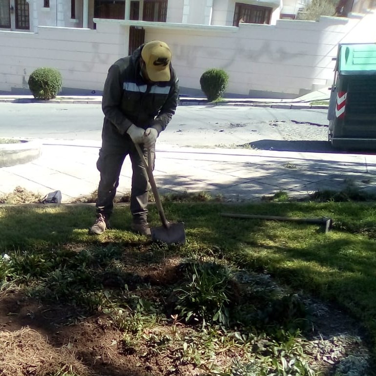 #PlanDeÁreasVerdes🌳🌼🌺 La presente jornada, 18/05, personal de <a href="/Emaverde2/">Emaverde</a> realizará el mantenimiento de las plazas Mcal. Sta. Cruz y Tercera Edad, de las jardineras de la Av. Romecín Campos y la calle Enrique Hertzog; y del parque Elizardo Pérez. 
#EMAVERDE