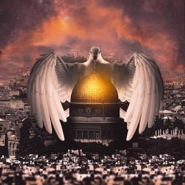 🇵🇸🇵🇸🇵🇸

#GazaUnderAttack 
#savesheikhjarrah 
#palestineunderattak