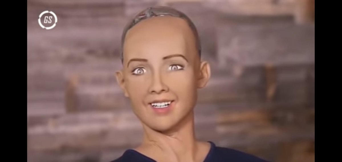 flavio hogiergartner tweet media