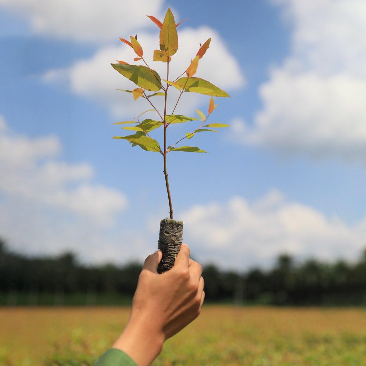 APRILpulp's tweet photo. Strength lies in differences, not in likeness.
We all have different skills, backgrounds, genders, tools, and roles, but at APRIL we have the same goal: to support sustainable development for a better future.
#sdgs2030 #sustainabledevelopment #handsinframe https://t.co/CyyplhmB2U
