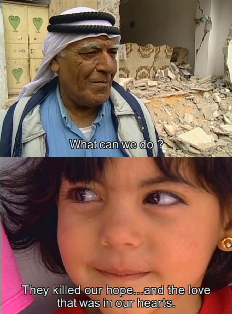 bernardo tweet media