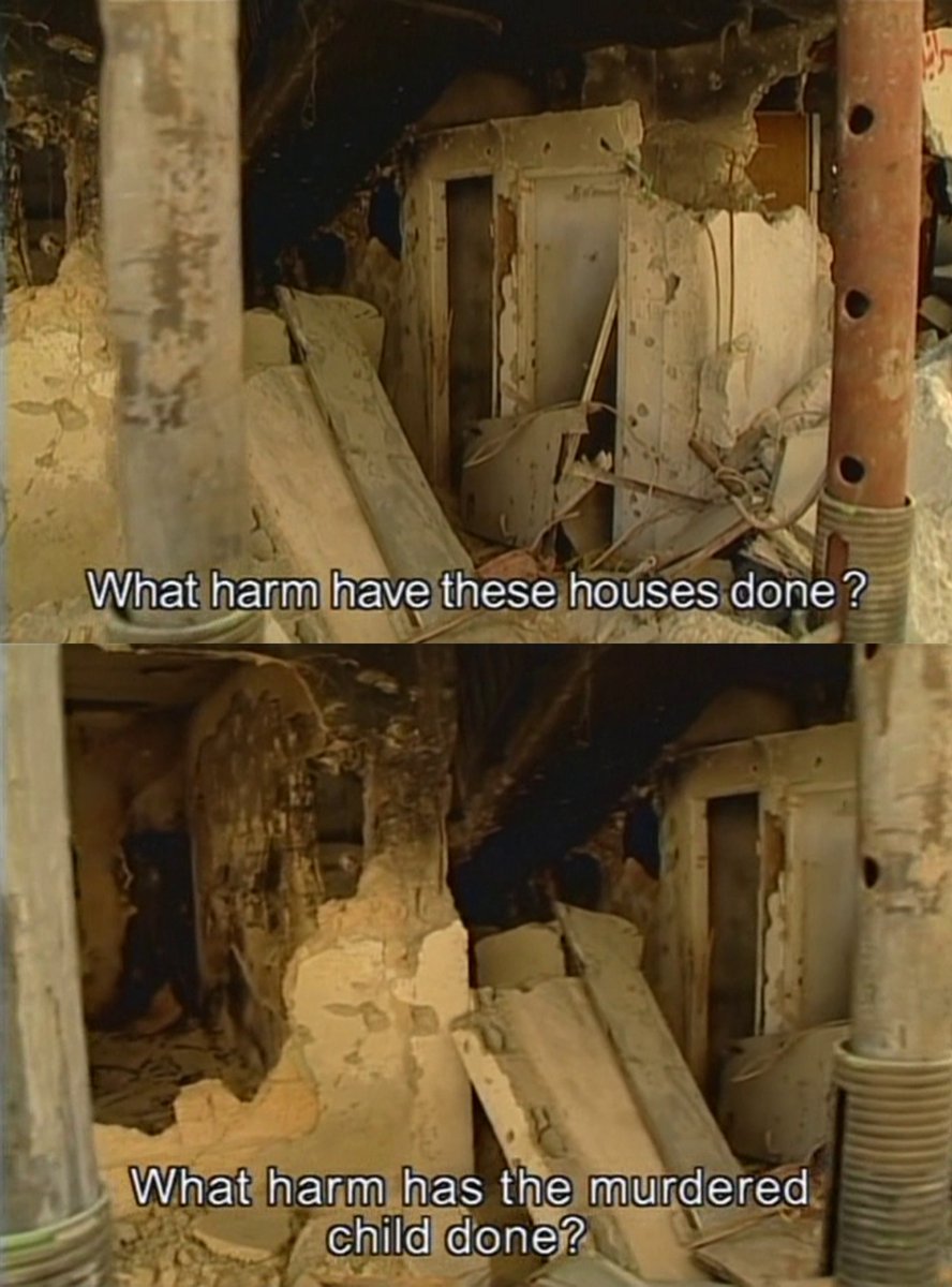 bernardo tweet media