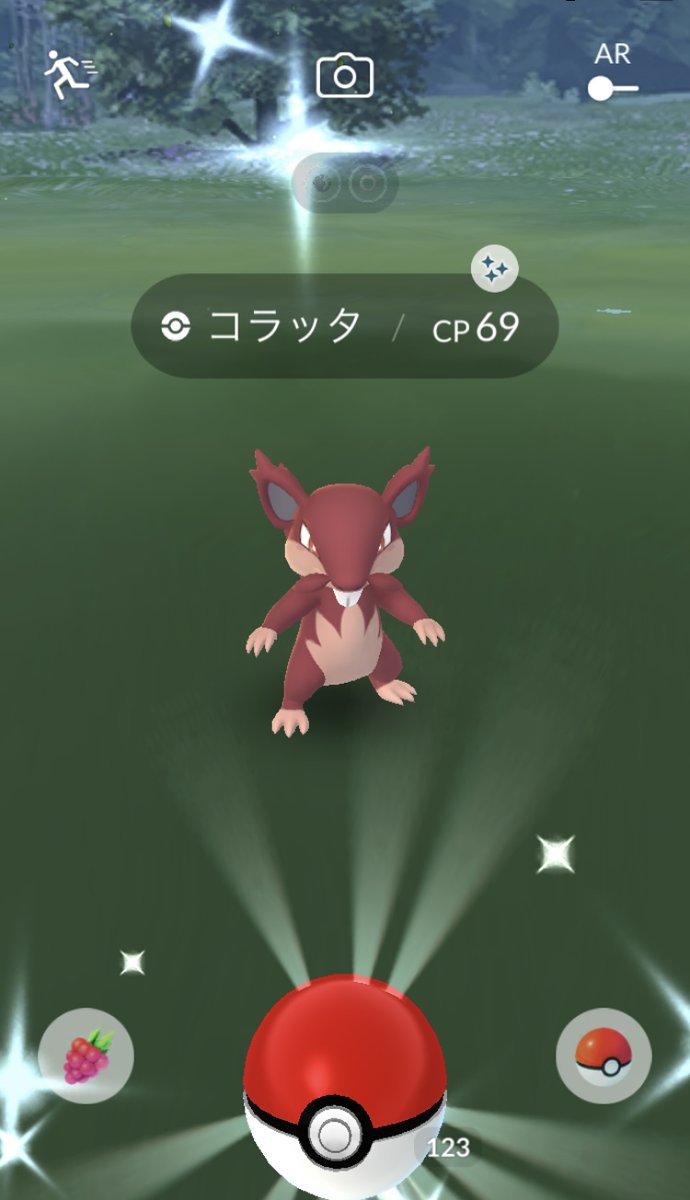 ポケモンgo ラッタの色違い 入手方法と実装状況 攻略大百科 ポケモンgo ラッタの色違い 入手方法と実装状況 攻略大百科