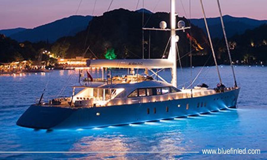 southwestmarine's tweet photo. Own the boat that everyone wants to be on and light up a lifetime of memories. We are the lights of choice for many world class boat builders.
.
.
.
.
.
.
#bluefinled #captainschoice #ledlights #underwaterlights #mastlights #decklights #garagelights #floodlights https://t.co/1PH9cI1yl9
