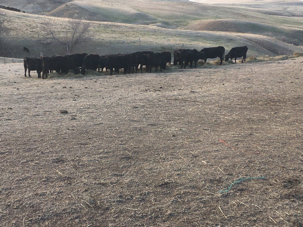 longXranch's tweet photo. Anyone bitching about rain please stop... https://t.co/X5F97wtzNq