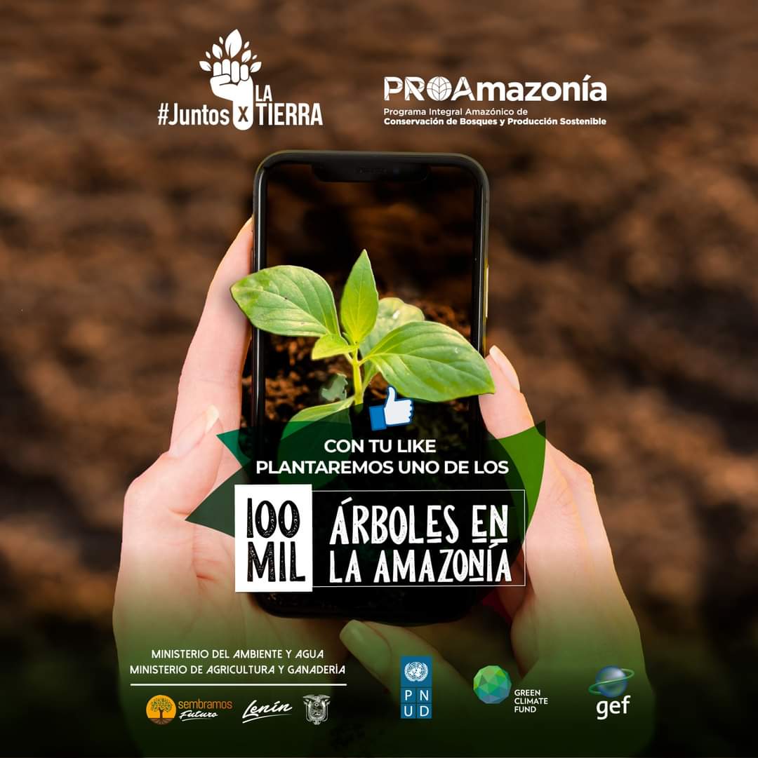 #JuntosXLaTierra 🌳 Por cada like en la publicación original de @PROAmazoniaEC ,plantaremos un árbol en la Amazonía ecuatoriana. 

¡Con tu ayuda promovemos la conservación y restauración forestal de bosques!. 💚🌱🙌 
​ 
Desde @altropico nuestra meta es restaurar 7.600 hectáreas