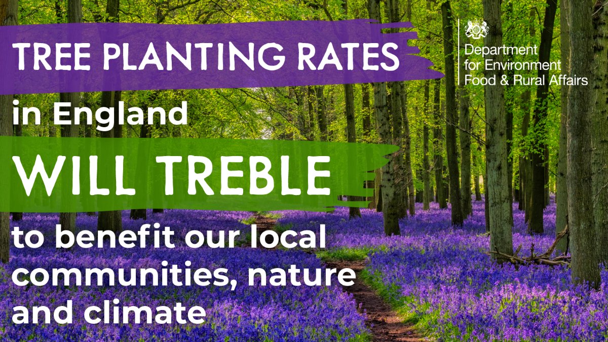 Details now available for the England Woodland Creation Offer (EWCO!), following the launch of the #EnglandTreeActionPlan
Payments will treble in some cases, with stackable options for water, access, clean air and other public benefits. See gov.uk/guidance/engla… for full info.