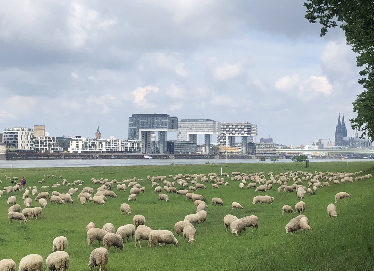 Gudrun Bartels tweet media