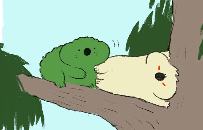 出勝🐨🐨 
