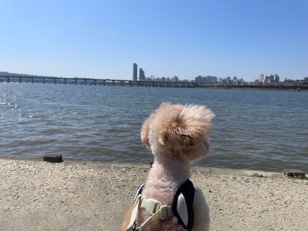 onewow12's tweet image. 비린내나는부둣가를내세상처럼누벼가며두주먹으로또하루를겁없이살아간다희망도없고꿈도없이사랑에속고돈에울고기막힌세상돌아보면서러움에눈물이나비겁하다욕하지마더러운 뒷골목을헤매고다녀도내상처를끌어안은그대가있어행복했다촛불처럼짧은사랑내한몸아낌없이바치려했건만저하늘이외면하는제제