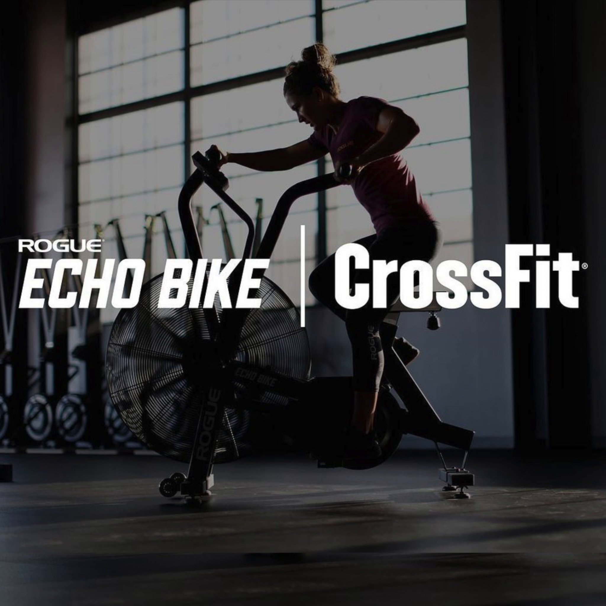 Crossfit games assault bike sale