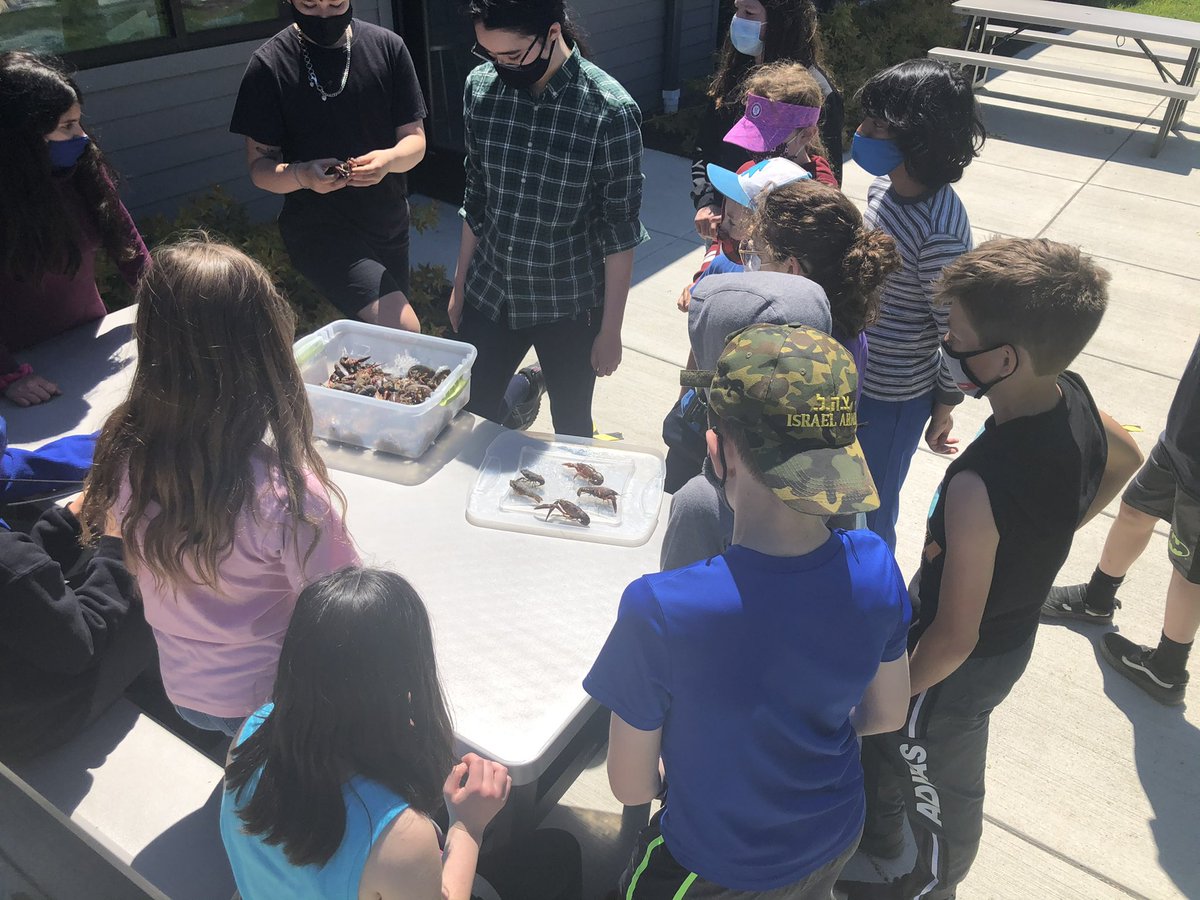 parkschoolbflo's tweet image. Thank you to Senior ASE students for teaching our Grades 5 and 6 students how to manage the invasive crayfish mitigation project. It takes a community to design, implement, and sustain these efforts! #AlwaysLeading #ActiveLearning #SolvingRealProblems