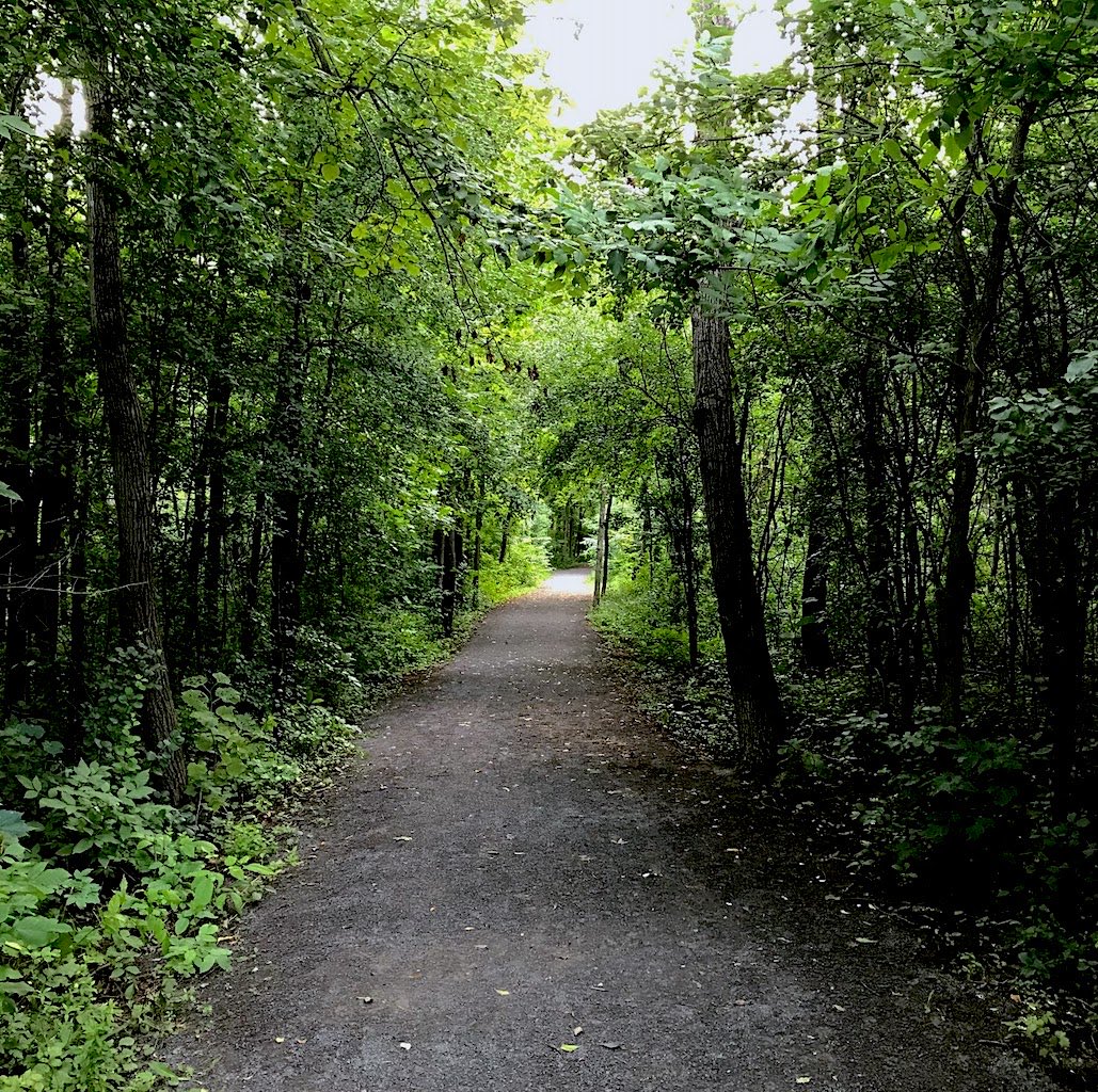 S_W_Edwards's tweet photo. Tuesday in the Trenches.
I wanted to acknowledge and lift a few who have (knowingly and unknowingly) #encouraged, #motivated and #inspired me on the path of my writing journey with their respective virtual spheres of influence.
#virtualcomrades #Canada #USA #Ireland
(1/5) https://t.co/dMAmk6ed5e
