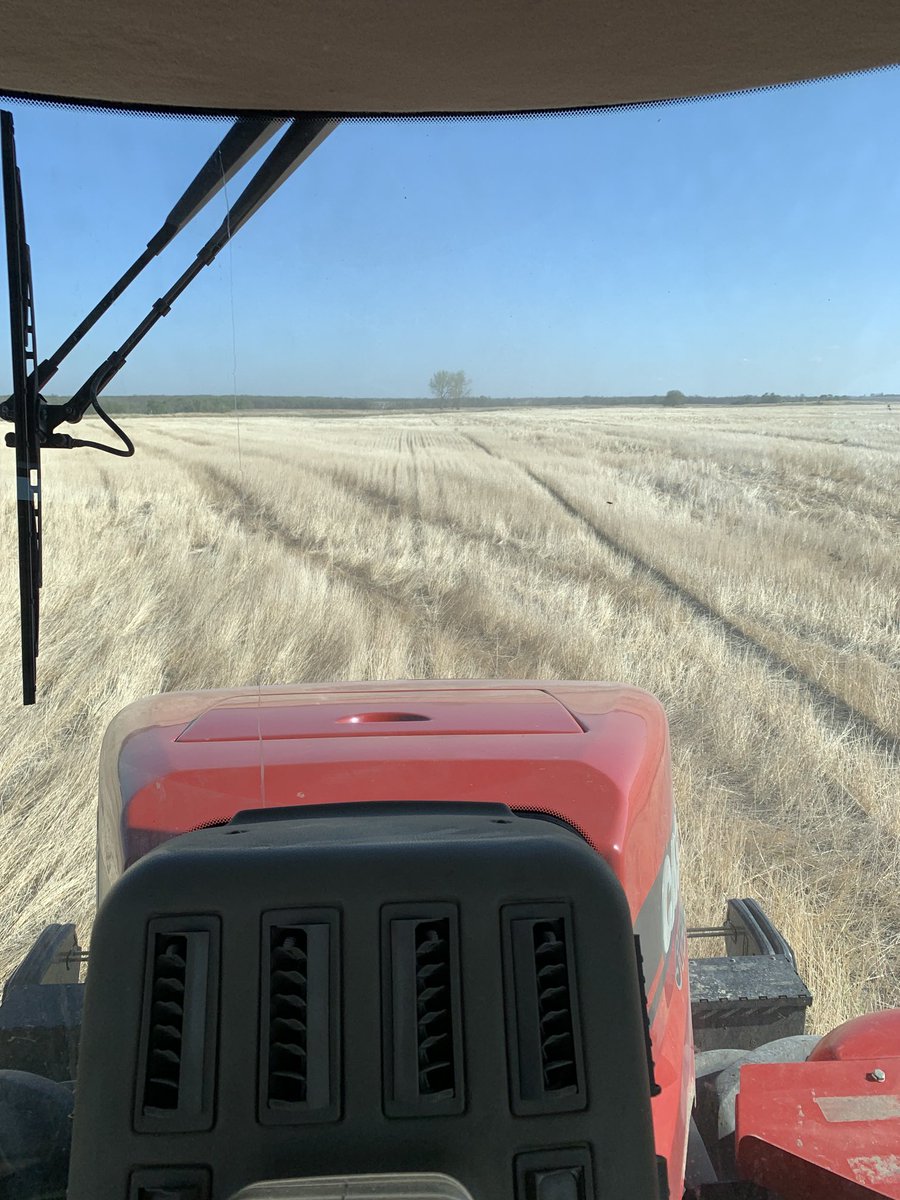 Kimmy Hartman said seeding canola into stripped wheat goes together like peaches and cream. #KHartney #stipper #happy