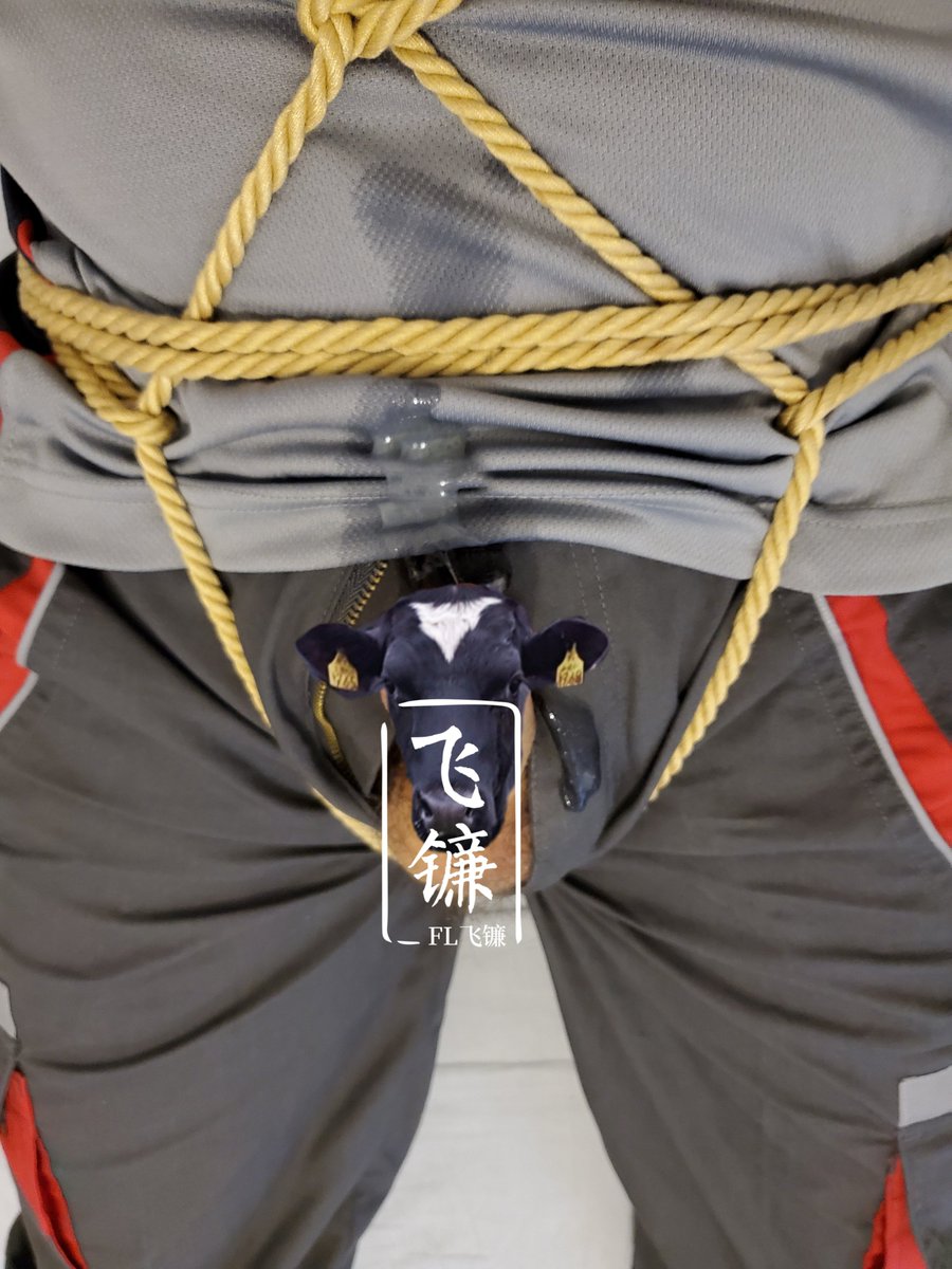 要求顺丰小哥送货上门，成功取到货