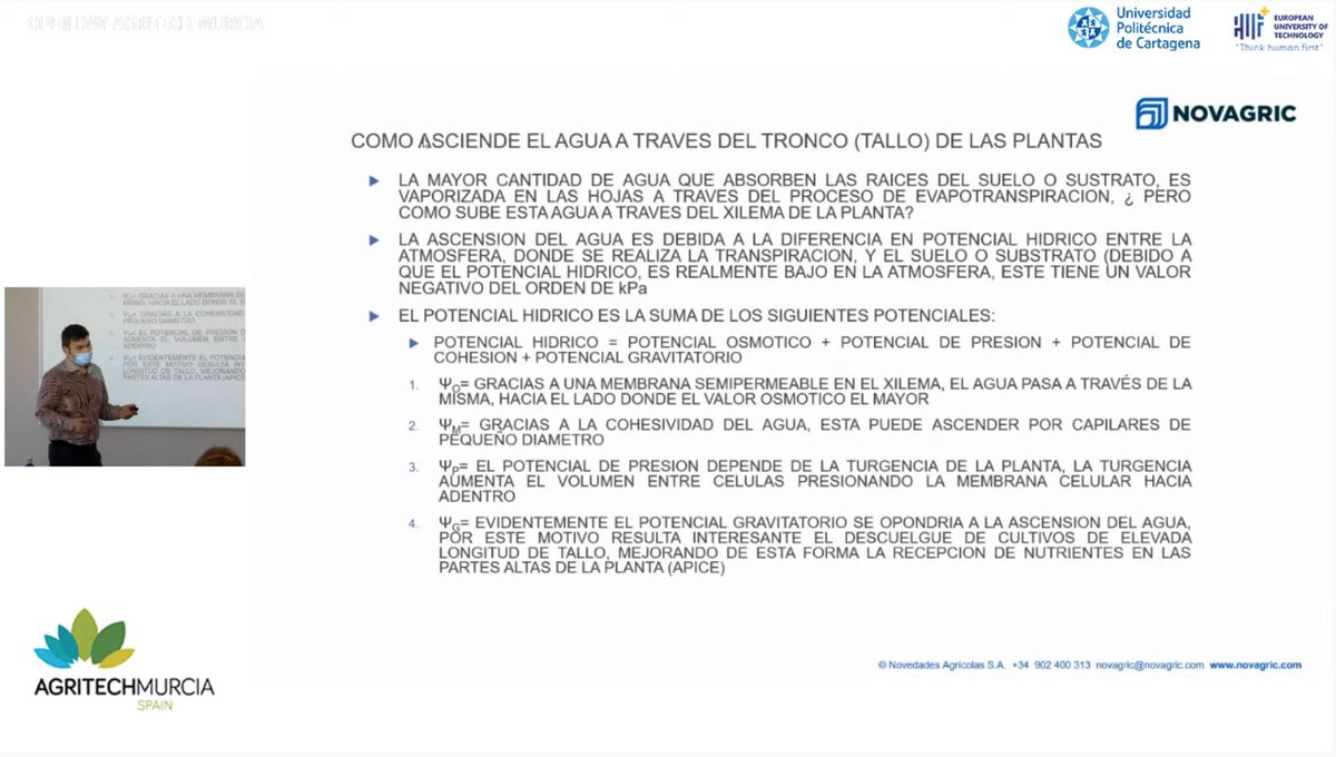 👉🏼 David López explica como asciende el #agua a la #planta en #OpenDayAgritechMurcia: 

🔶 Potencial osmótico
🔷 Potencial de presión
🔶 Potencial de cohesión
🔷 Potencial gravitatorio

🔴 Directo: youtube.com/watch?v=978Osn…

<a href="/AgritechMurcia/">AgritechMurcia</a> <a href="/Catedra_AGTMU/">Cátedra_AgritechMU</a>