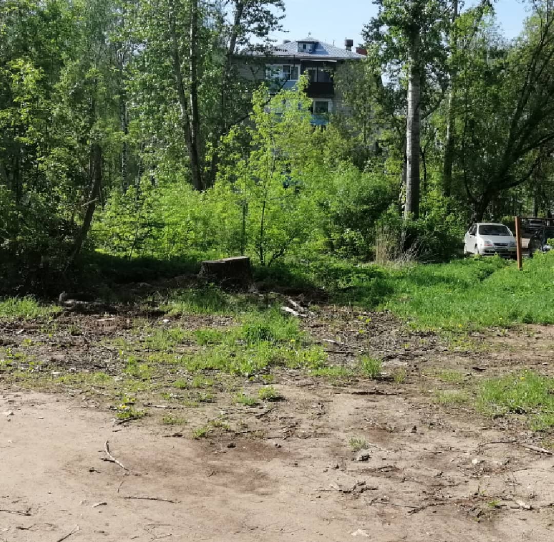 ✔️Вместе с УК выполнили просьбу жительницы города, обратившуюся в ОП Партии "Единая Россия" с просьбой убрать , спиленное осенью 2020 года дерево во дворе многоквартирных домов.#ЕР37 #ЕРпомогает