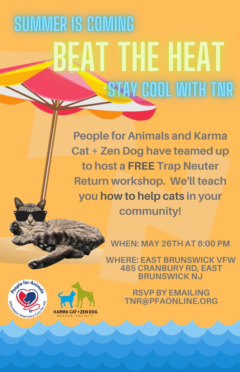 Summer is coming...beat the heat and stay cool with TNR!😎 This #TNRTuesday we'd like to remind you that KCZD is teaming up with People for Animals to host a completely ✨FREE✨ TNR workshop. RSVP today by emailing TNR@PFAOnline.org as space is limited. See you there!🐈