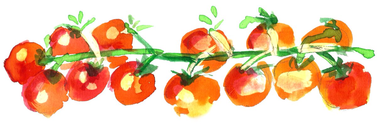 Taste Education just can't stop converting children to liking tomatoes: "I had lots of children surprise me, one child, who kept on saying how he hated tomatoes, tried them and loved them. He now eats tomatoes."