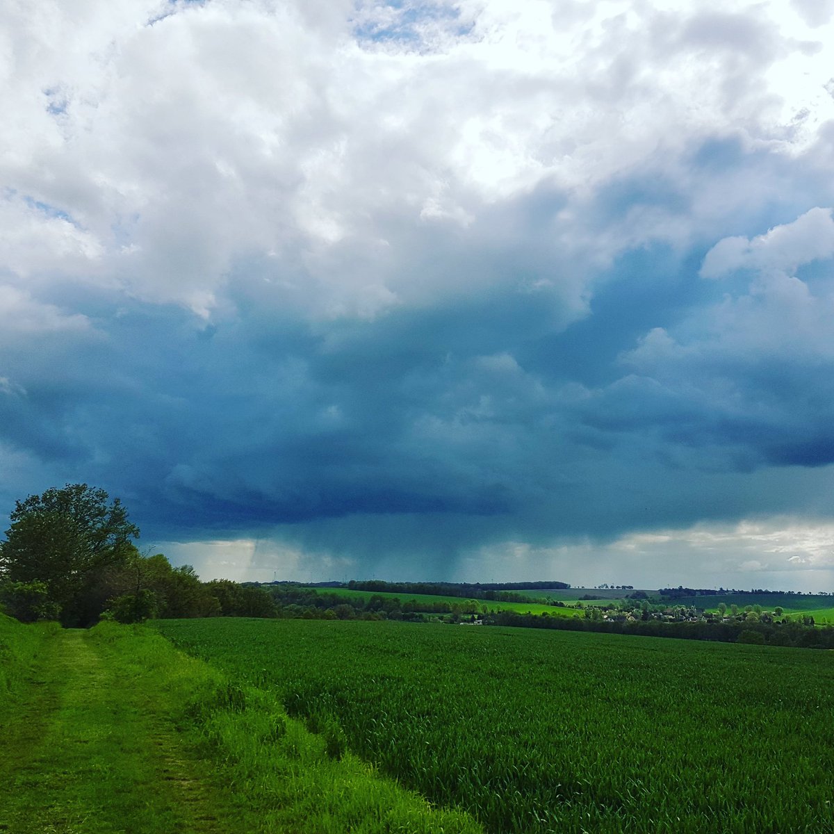 InspirationWald (@inspirationwald) on Twitter photo 