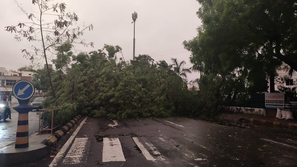 Finally seems the cyclone left ahmedabad... tree blocking gurukul road...#CycloneTauktae

Stay safe...