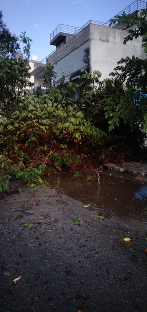 Vikram Mailar Vijay tweet media