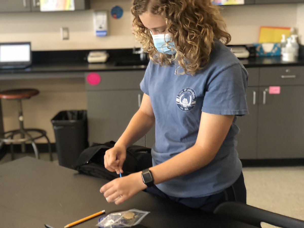 Robynlv's tweet photo. What food and enzyme combination is best for yeast to produce carbon dioxide and ethanol? #SidewaysScience https://t.co/OJkRauZL7O