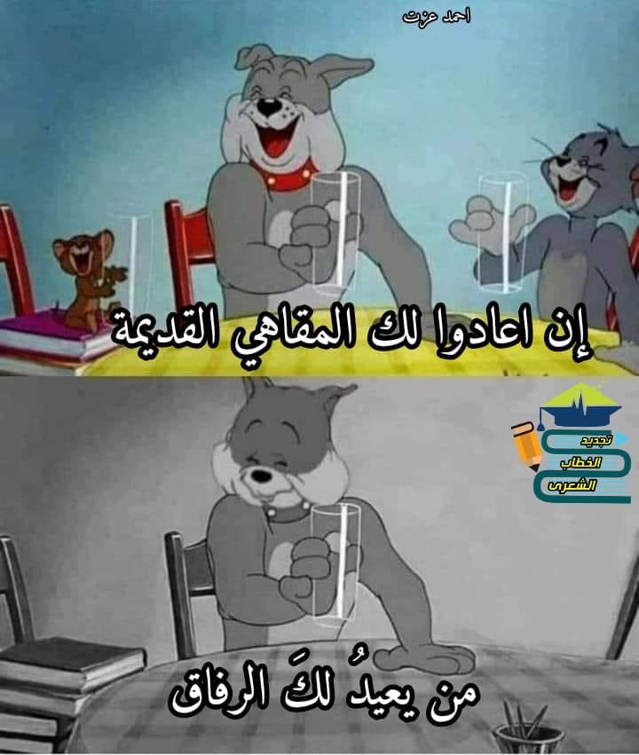 muhammadtantawi (@muhammadtantawi) on Twitter photo 