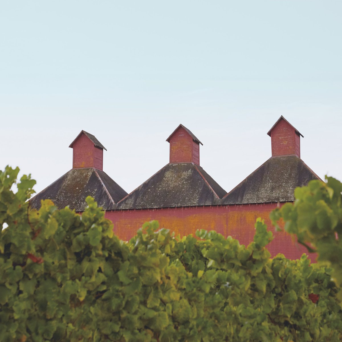 SommFoundation tweet media