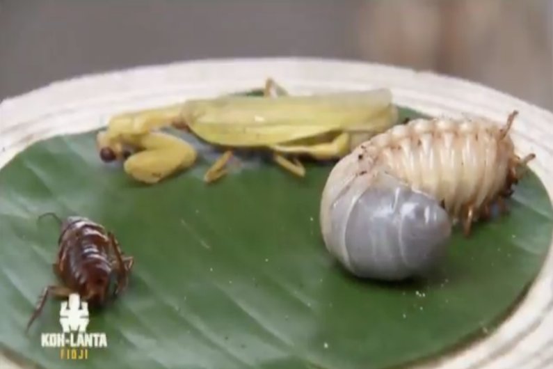Turayon_fr's tweet photo. Top Chef après le rachat de M6 par TF1 #TF1M6 https://t.co/BH5JoSOP6r