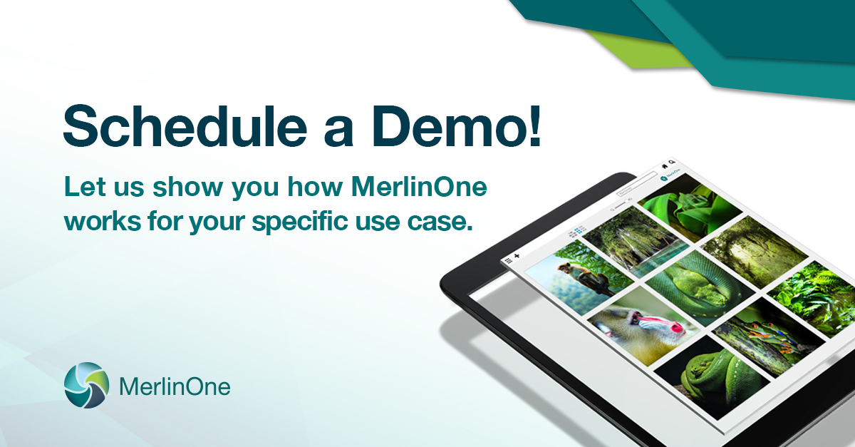See MerlinOne in action! We're not just your standard out-of-the-box #digitalassetmanagement solution. We can tailor our software to your business, no matter how simple or complicated your project is. Request a demo from one of our experts: hubs.ly/H0Mf6ph0